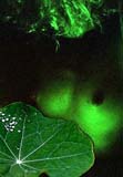 konst1_3